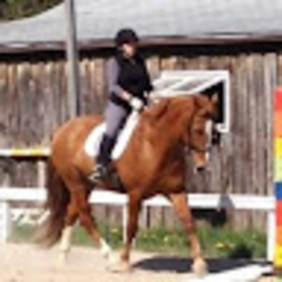sassiscout